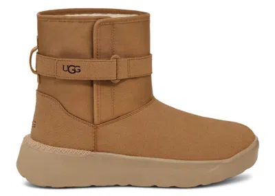 Pre-owned Ugg Men's  Classic S Boot Sneakers In Chestnut In Brown
