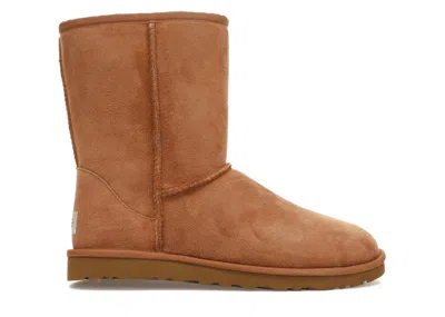 Pre-owned Ugg Men's  Classic Short Boot Sneakers In Chestnut
