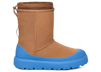 Pre-owned Ugg Men's  Classic Short Weather Hybrid Boot Sneakers In Chestnut/big Sky Blue In Multi
