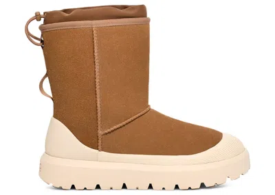 Pre-owned Ugg Men's  Classic Short Weather Hybrid Boot Sneakers In Chestnut/whitecap