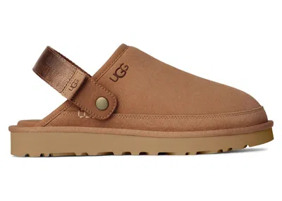 Pre-owned Ugg Men's  Goldencoast Clog Ii Sneakers In Chestnut