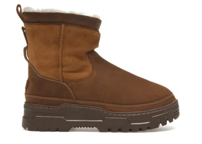 Pre-owned Ugg Men's  Heritage Pullon Trailgazer Boot Sneakers In Chestnut