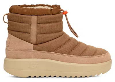 Pre-owned Ugg Men's  Maxxer Mini Boot Sneakers In Chestnut In Brown
