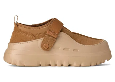 Pre-owned Ugg Men's  Peakmod Lowcut Sneakers In Chestnut In Brown