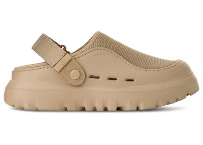Pre-owned Ugg Men's  Peakmod Sneakers In Dark Sand