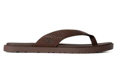 Pre-owned Ugg Men's  Seaside Ii Flip Sandal Sneakers In Lage In Brown
