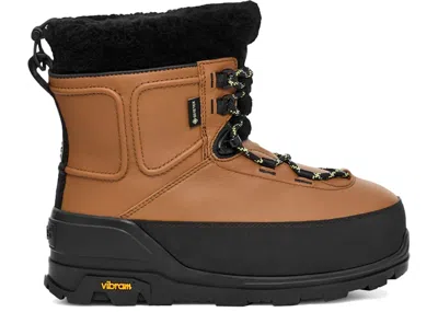 Pre-owned Ugg Men's  Shasta Boot Mid Sneakers In Chestnut