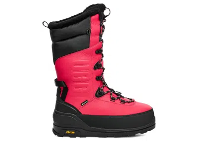 Pre-owned Ugg Men's  Shasta Boot Tall Sneakers In Pink Glow