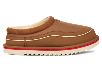 Pre-owned Ugg Men's  Tasman Cali Wave Slipper Sneakers In Chestnut/birch