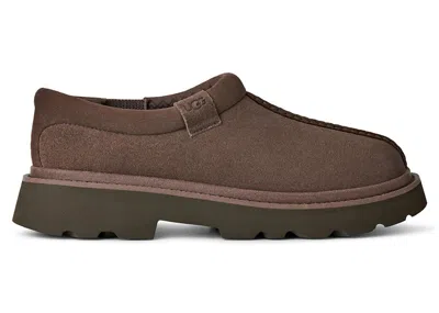 Pre-owned Ugg Men's  Tasman Lug Sneakers In Molasses In Brown