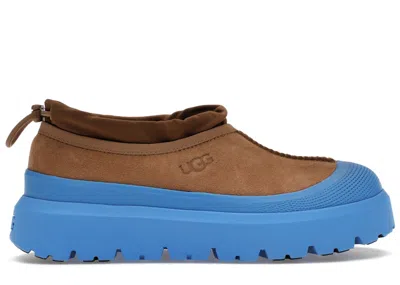 Pre-owned Ugg Men's  Tasman Weather Hybrid Slipper Sneakers In Chestnut/big Sky Blue In Multi