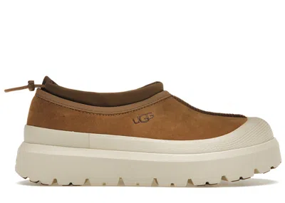 Pre-owned Ugg Men's  Tasman Weather Hybrid Slipper Sneakers In Chestnut/whitecap