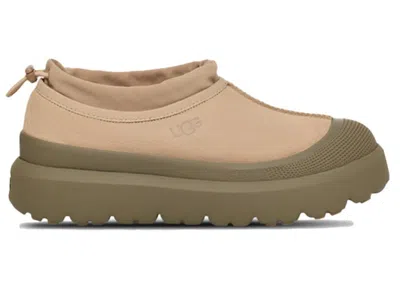 Pre-owned Ugg Men's  Tasman Weather Hybrid Slipper Sneakers In Dune/burnt Olive