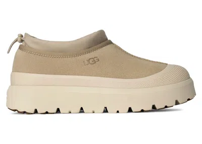 Pre-owned Ugg Men's  Tasman Weather Hybrid Slipper Sneakers In Mustard Seed/cream In Multi