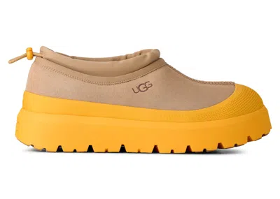 Pre-owned Ugg Men's  Tasman Weather Hybrid Slipper Sneakers In Mustard Seed/summer Wheat