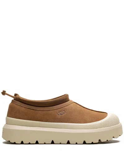 Ugg Men's Waterproof Suede Winter Boots With Sealed Seams, Plush Lining & Grippy Rubber Inserts In Marrone