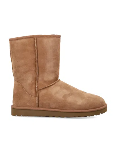 Ugg Mens Classic Short Boots In Brown