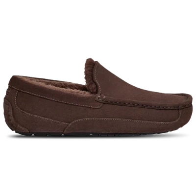 UGG MENS UGG ASCOT