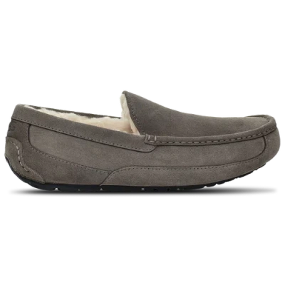 UGG MENS UGG ASCOT