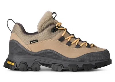 Pre-owned Ugg Metrotrek Hiker (women's) Sneakers In Cobble Grey