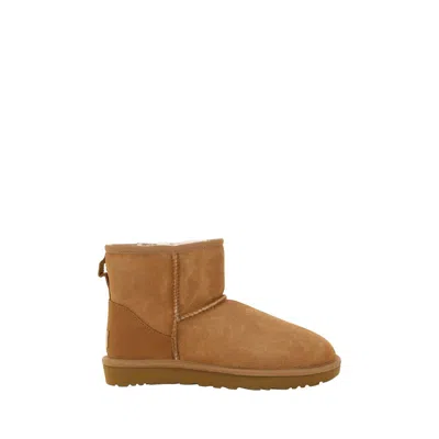 Ugg Mini Boots