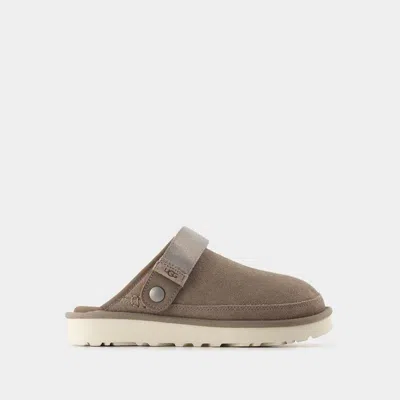 Ugg Mules M Goldencoast Ii In Brown