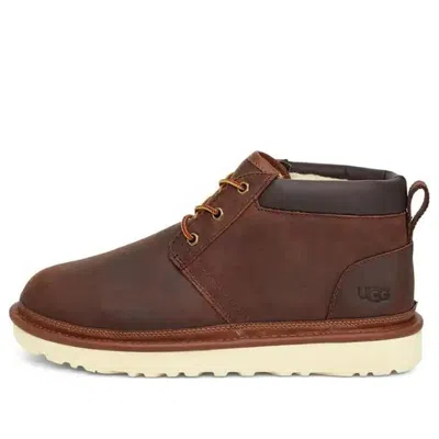 Ugg Neumel Utility Boot 'ginger' In Brown