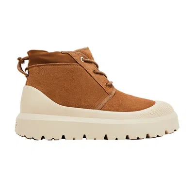 Pre-owned Ugg Neumel Weather Hybrid 'chestnut Whitecap' In Brown