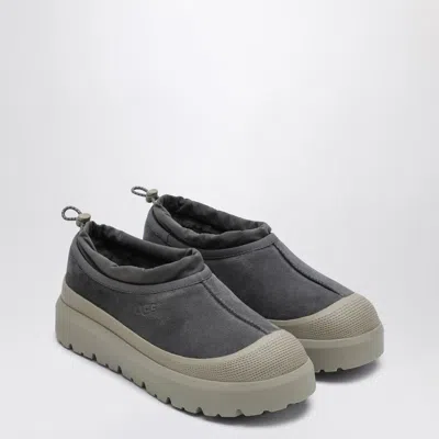Ugg Tasman Sneakers In Gray
