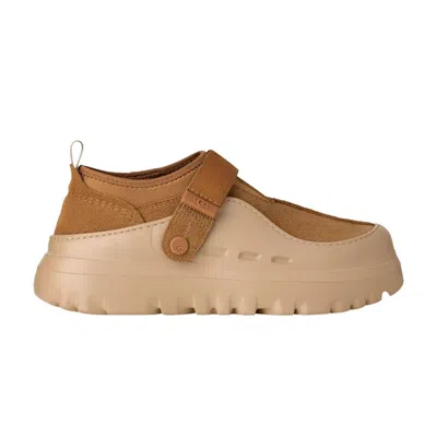 Pre-owned Ugg Peakmod Lowcut 'chestnut' | Tan | Men's Size 11 In Brown