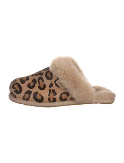 Pre-owned Ugg Ponyhair Animal Print Mules In Brown