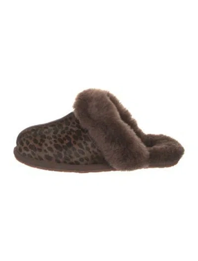 Pre-owned Ugg Ponyhair Mules In Brown