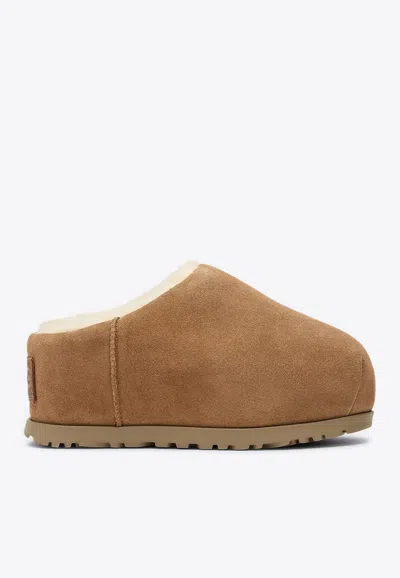 UGG PUMPED SUEDE SLIPPERS