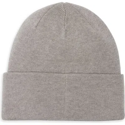 Ugg ® Raised Logo Cuff Knit Beanie In Gray