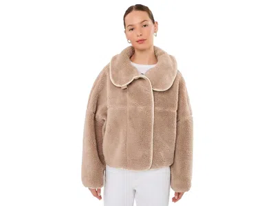 Ugg Raynie Jacket Women's Coat Moonlight: Xs, Polyester In Brown