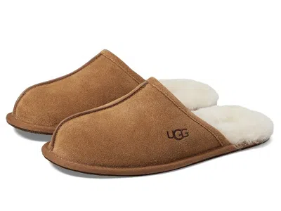 Ugg Scuff In Brown