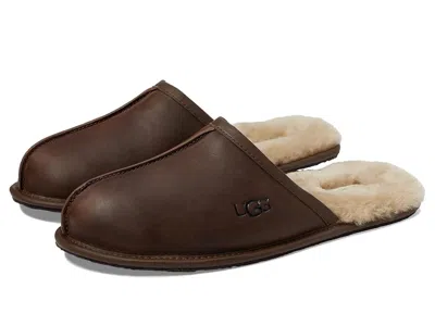 Ugg Scuff In Brown