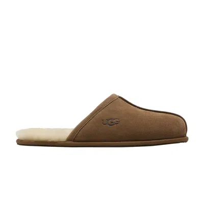 Pre-owned Ugg Scuff Slipper 'chestnut' In Brown