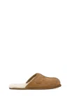 Ugg Ciabatte Scuff In Brown