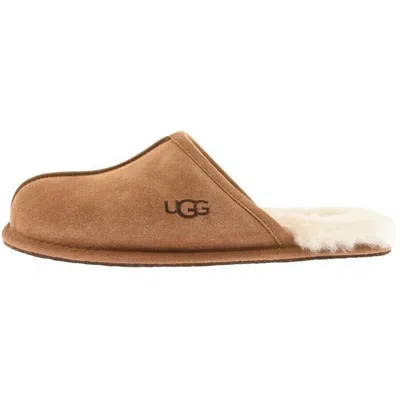 Ugg Scuff Slippers Brown