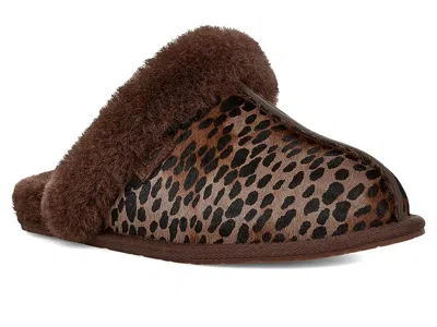 Ugg Scuffette Caspian In Brown