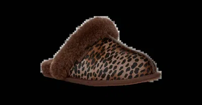 Ugg Scuffette Caspian In Burnt Cedar