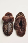 Ugg Scuffette Caspian Slippers In Animal Print