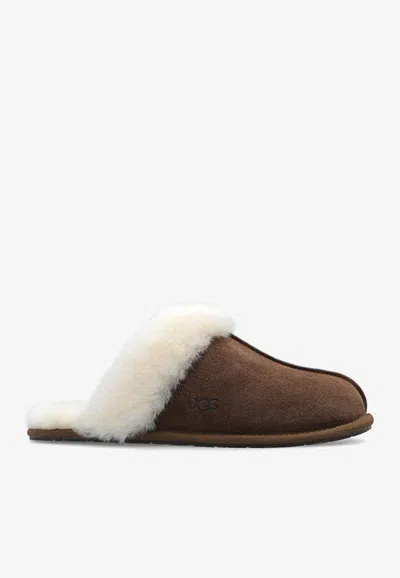 Ugg Scuffette Ii Shearling Slippers In Brown