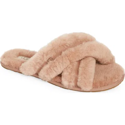 Ugg ® Scuffita Genuine Shearling Slide Slipper In Brown