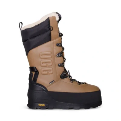 Pre-owned Ugg Shasta Tall Winter Chestnut Leather Boot Wool All Gender Boots Size Us M5/w6 In Brown