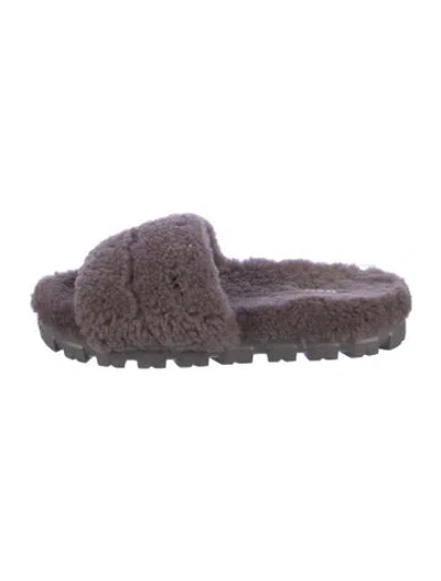 Pre-owned Ugg Shearling Fur Trim Slides In Purple