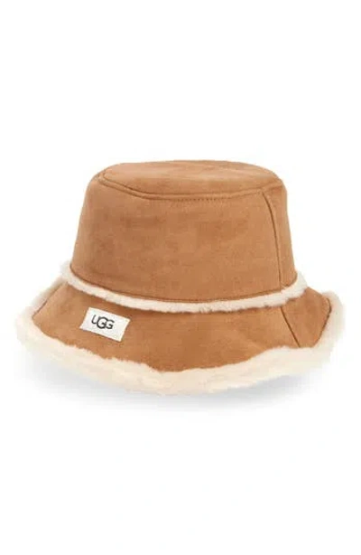 Ugg ® Sheepskin Bucket Hat In Chestnut/chestnut