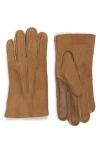 Ugg ® Sheepskin Genuine Shearling Lined Gloves In Brown