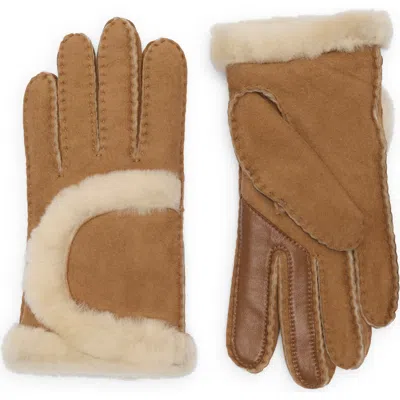 Ugg ® Sheepskin Genuine Shearling Trimmed Gloves In Brown